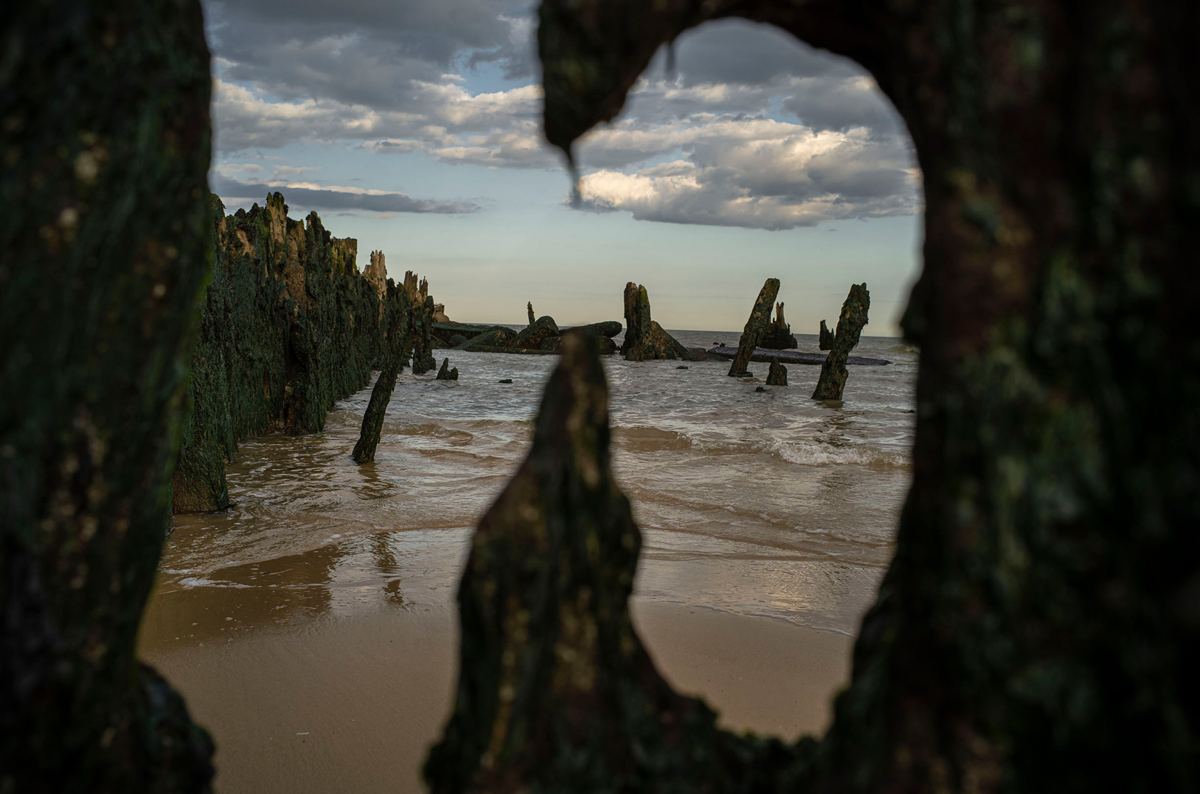 landscape_3